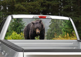 Black Bear #2 Forest Scene Rear Window Decal