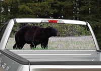 Black Bear Walking Rear Window Decal