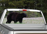 Black Bear Walking Rear Window Decal