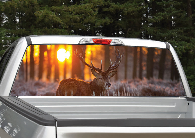 Buck Elk Sunset #3 Rear Window Graphic