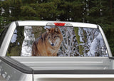 Wolf In The Snow Rear Window Decal